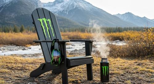 adirondack chair (10)