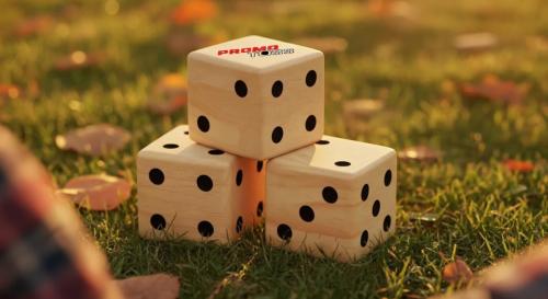 lawn dice (2)