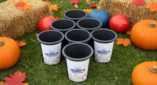 lawn pong (7)