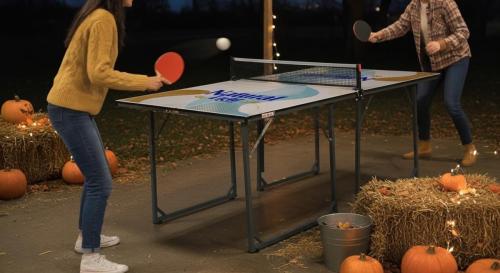 table tennis (7)