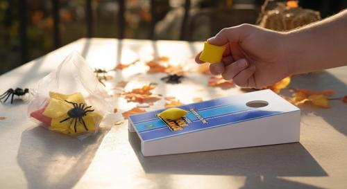 tabletop cornhole (7)