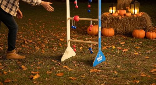 ladder-ball-3